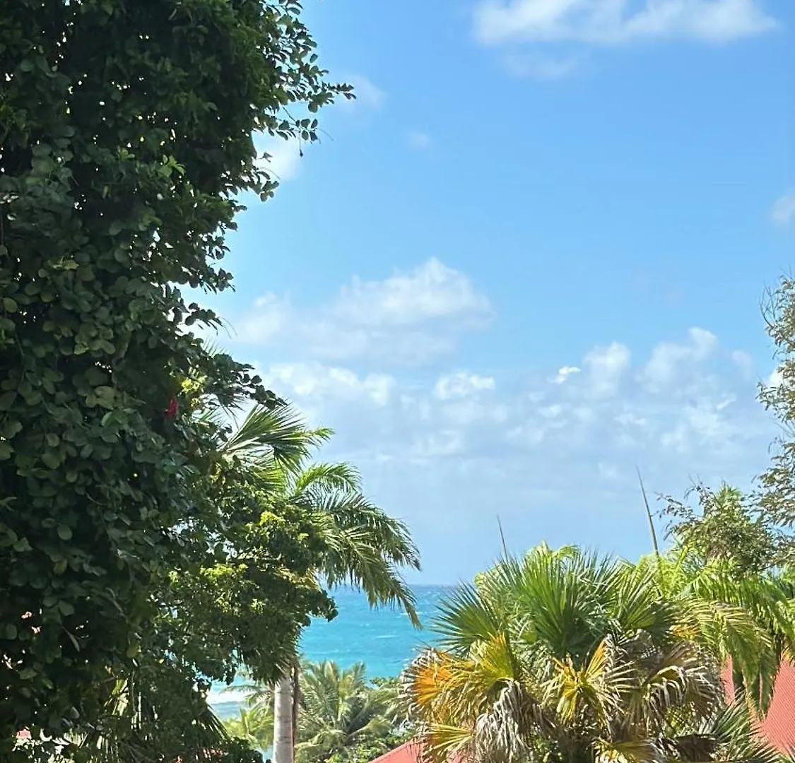 Studio Toti En Bord De Mer Sainte-Anne  Guadalupe
