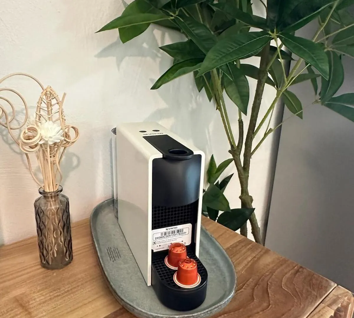 Apartamento Studio Toti En Bord De Mer Sainte-Anne  Guadalupe