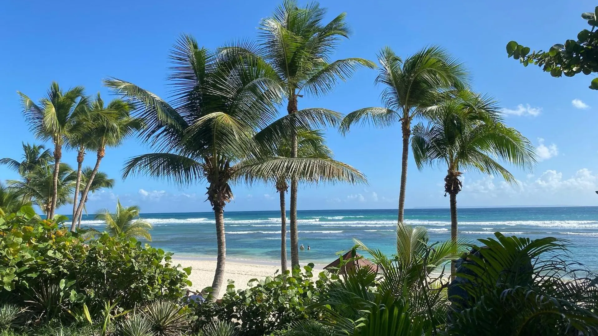 Studio Toti En Bord De Mer Sainte-Anne  Apartment